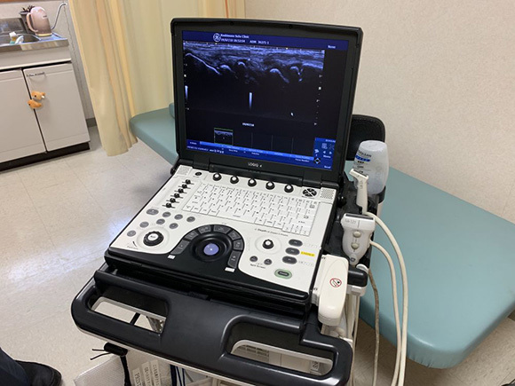 医療法人こしむね瀬戸クリニック超音波エコー